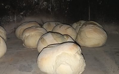 Devetošolci pečejo kruh in belokranjsko pogačo