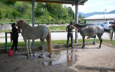 Obisk Konjeniškega društva Trbovlje